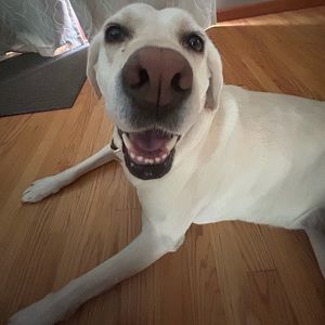 Meet your Posher, Marina